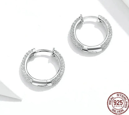 Ear Hoops Luxury Earring