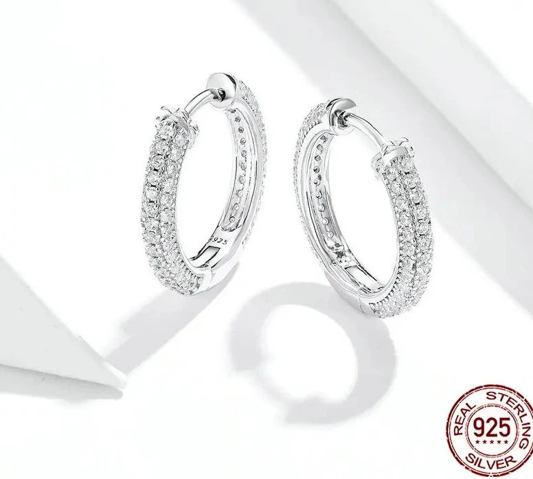 Ear Hoops Luxury Earring