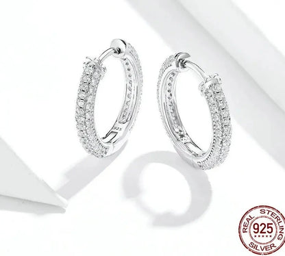 Ear Hoops Luxury Earring