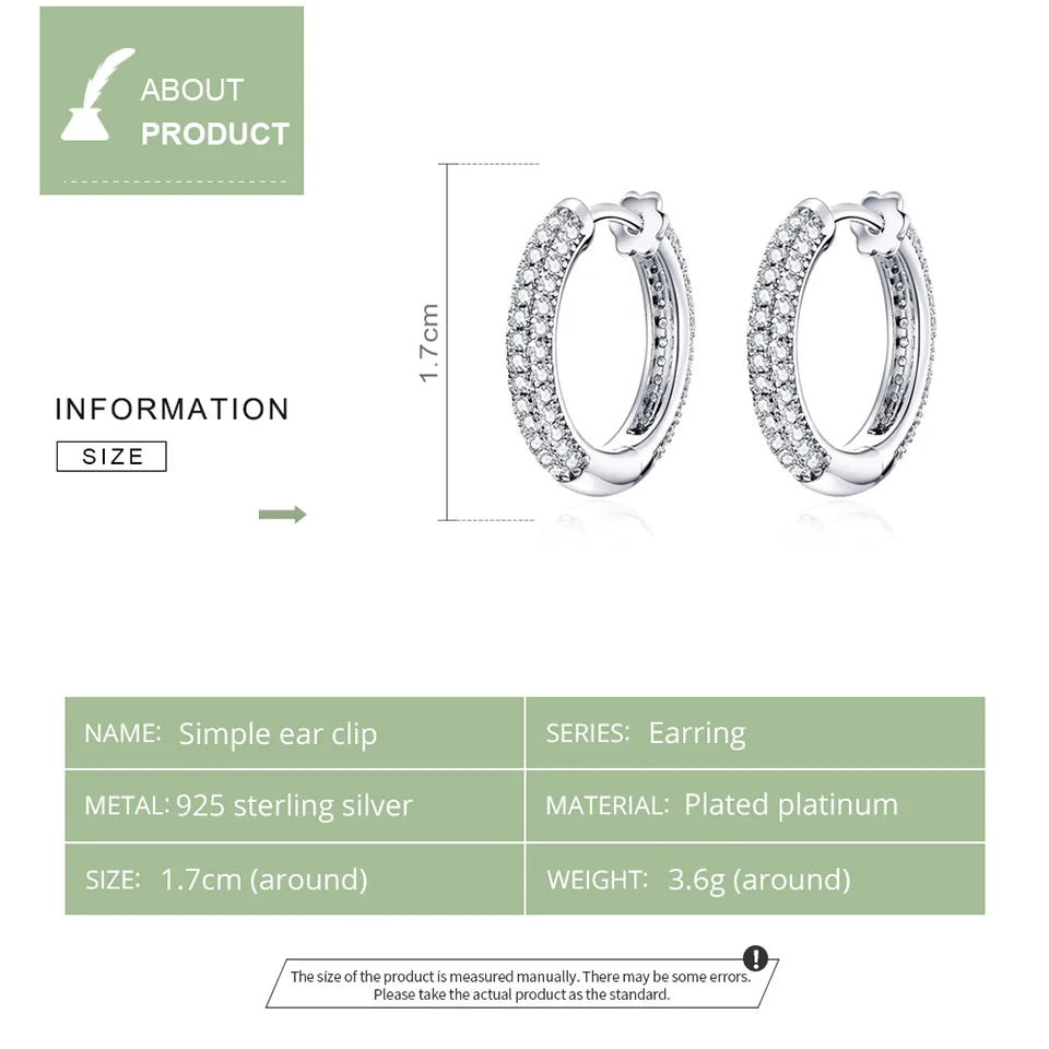 Ear Hoops Luxury Earring